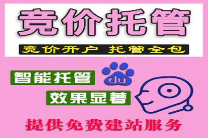 案例解析：百度推广优化，助力企业增长